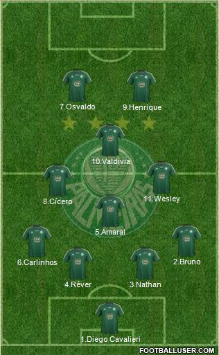 SE Palmeiras Formation 2014