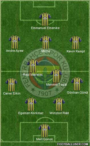 Fenerbahçe SK Formation 2014