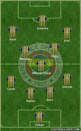 Fenerbahçe SK Formation 2014