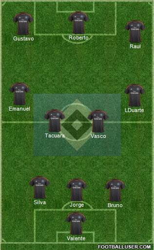 Hamburger SV Formation 2014
