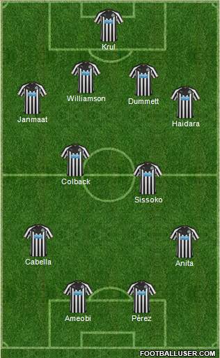 Newcastle United Formation 2014