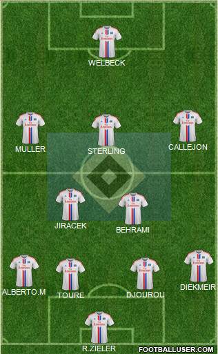 Hamburger SV Formation 2014