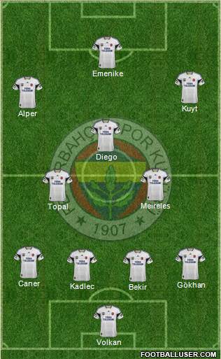 Fenerbahçe SK Formation 2014