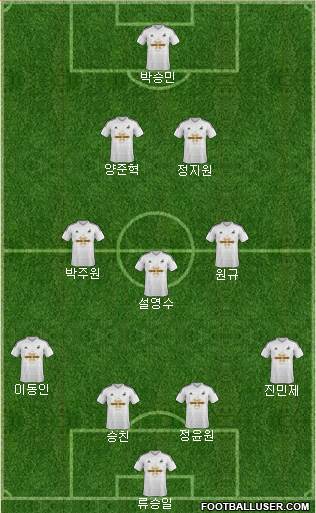 Swansea City Formation 2014