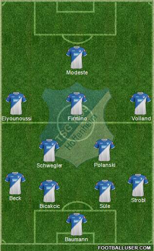 TSG 1899 Hoffenheim Formation 2014