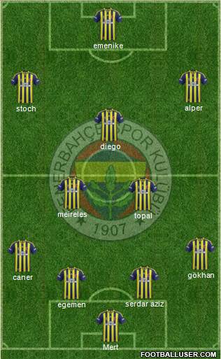 Fenerbahçe SK Formation 2014