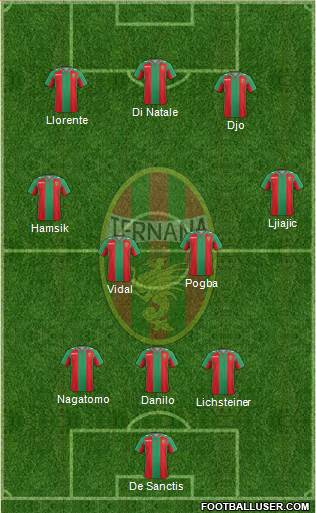 Ternana Formation 2014
