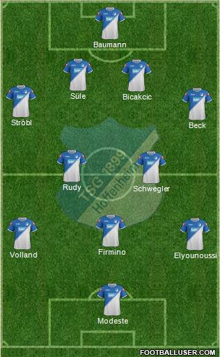 TSG 1899 Hoffenheim Formation 2014
