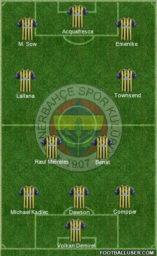 Fenerbahçe SK Formation 2014