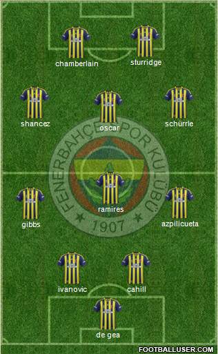 Fenerbahçe SK Formation 2014