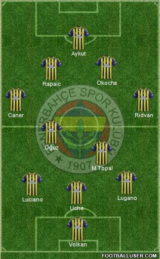 Fenerbahçe SK Formation 2014