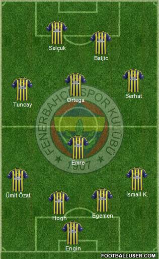 Fenerbahçe SK Formation 2014
