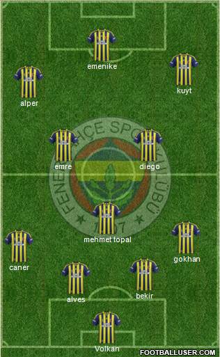 Fenerbahçe SK Formation 2014
