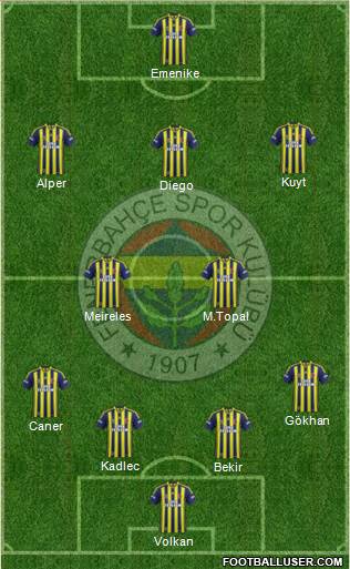Fenerbahçe SK Formation 2014