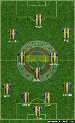 Fenerbahçe SK Formation 2014