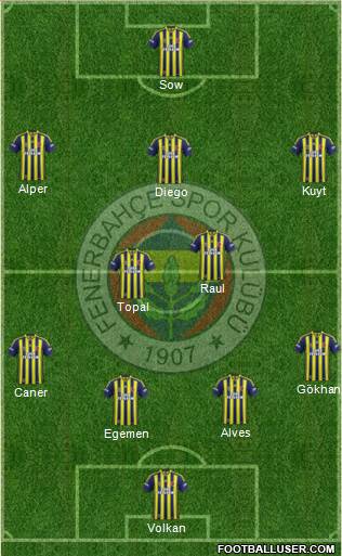 Fenerbahçe SK Formation 2014