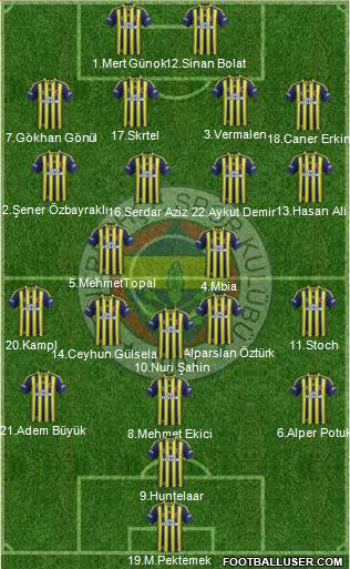 Fenerbahçe SK Formation 2014