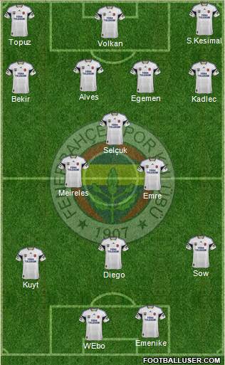 Fenerbahçe SK Formation 2014