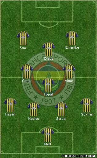Fenerbahçe SK Formation 2014