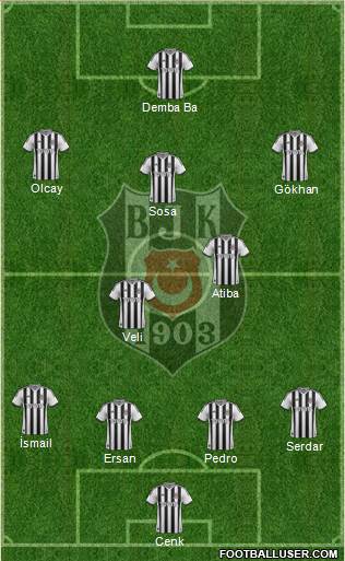Besiktas JK Formation 2014