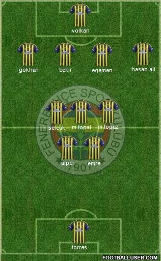 Fenerbahçe SK Formation 2014