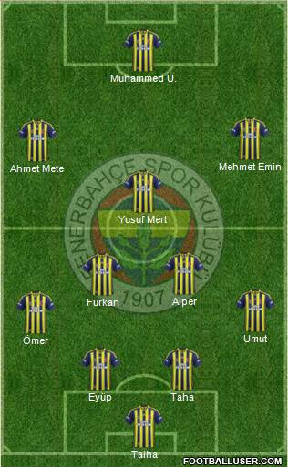 Fenerbahçe SK Formation 2014