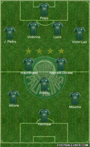 SE Palmeiras Formation 2014