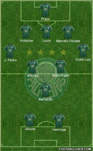 SE Palmeiras Formation 2014