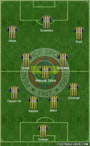 Fenerbahçe SK Formation 2014