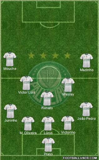 SE Palmeiras Formation 2014