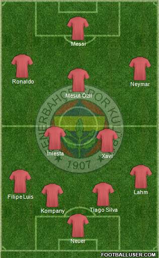 Fenerbahçe SK Formation 2014