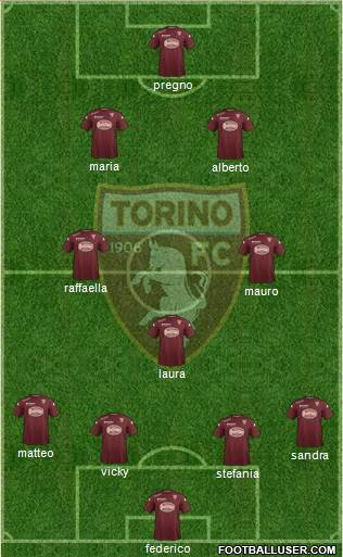 Torino Formation 2014
