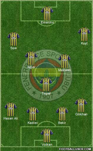 Fenerbahçe SK Formation 2014