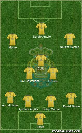 U.D. Las Palmas S.A.D. Formation 2014