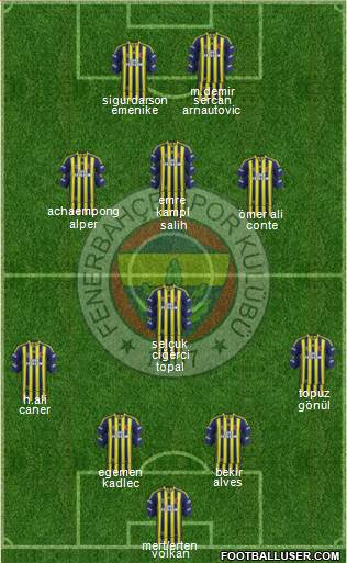 Fenerbahçe SK Formation 2014