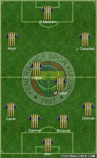 Fenerbahçe SK Formation 2014