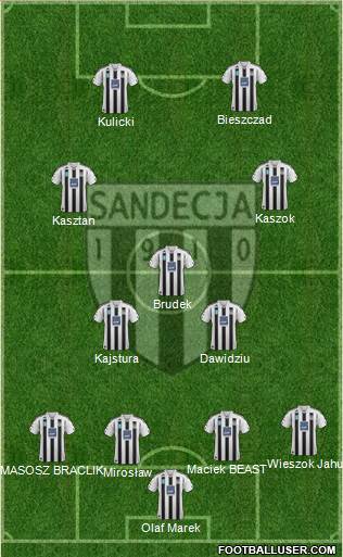 Sandecja Nowy Sacz Formation 2014
