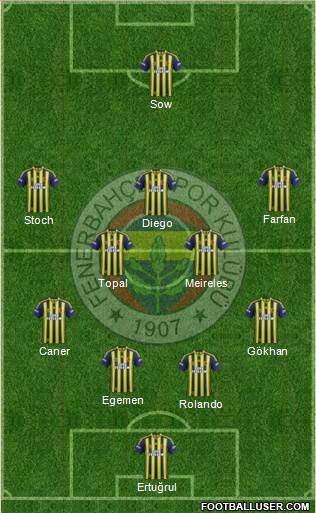 Fenerbahçe SK Formation 2014