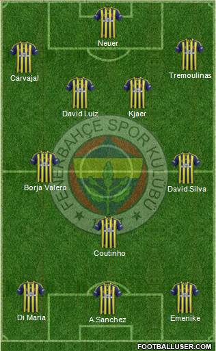 Fenerbahçe SK Formation 2014