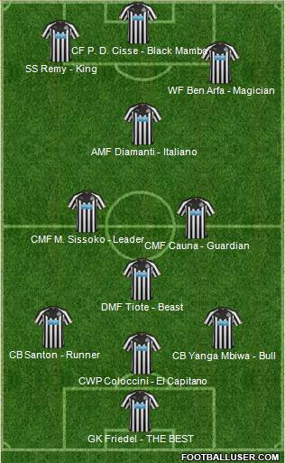 Newcastle United Formation 2014