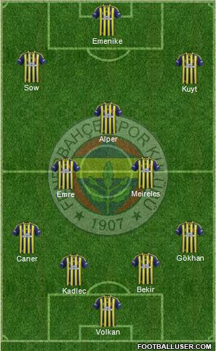 Fenerbahçe SK Formation 2014