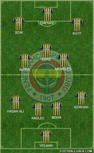 Fenerbahçe SK Formation 2014