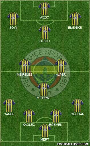 Fenerbahçe SK Formation 2014