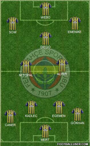 Fenerbahçe SK Formation 2014