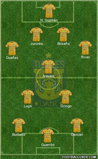Club Universitario de Nuevo León Formation 2014