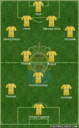 U.D. Las Palmas S.A.D. Formation 2014