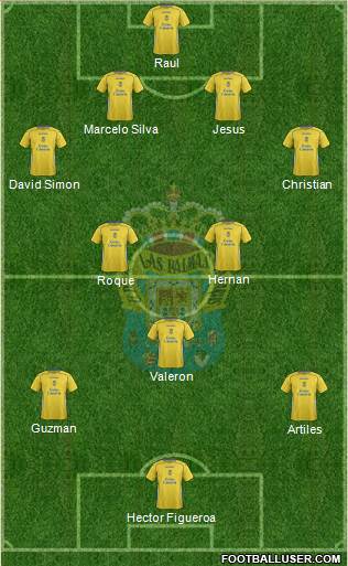 U.D. Las Palmas S.A.D. Formation 2014