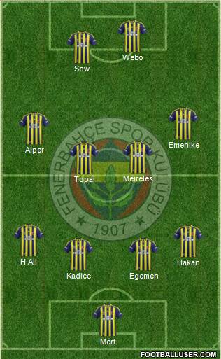 Fenerbahçe SK Formation 2014