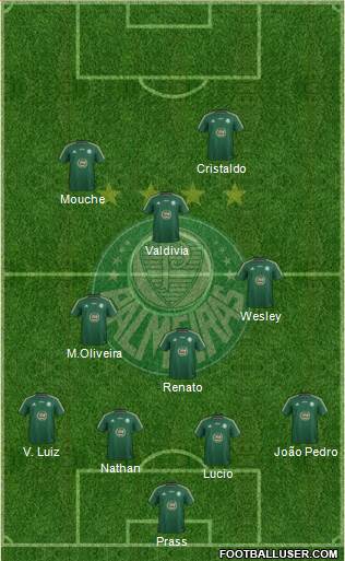 SE Palmeiras Formation 2014
