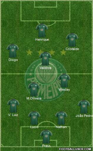 SE Palmeiras Formation 2014